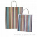 custom color shopping bags printing 2