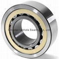 Cylindrical roller Bearing 1