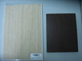 Wood laminated Mgo board 1