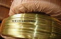 供應黃銅插頭扁線