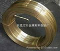 供應東莞1.45*6.25mmH65黃銅插頭扁線
