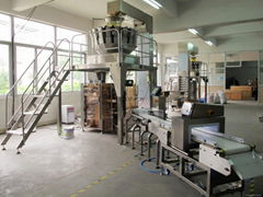 Automatic Food Packing Machine