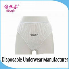 Hygienic Disposable Menstruation Panties for Women