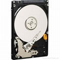 Western Digital 640 GB Hard Drive - SATA