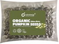 Organic Pumpkin Seeds 1