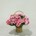 Lifelike Artificial Silk Begonia Flowers High Quality Artificial Flower Manufact 2