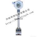 Field display vortex flowmeter