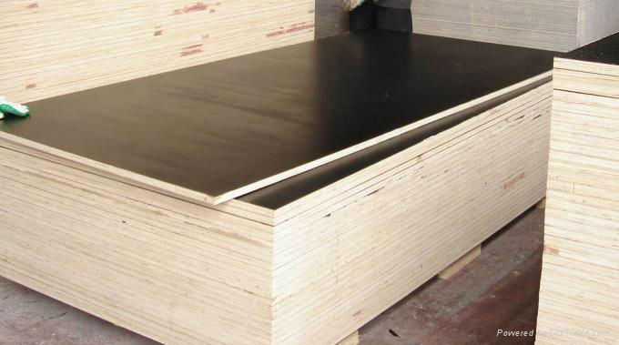 1220*2440mm poplar core wbp glue black film faced plywood for construction