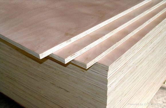 China cheap price okoume bintangor commercial plywood