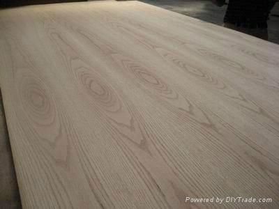 Cheap price high quality American red oak veneered plywood