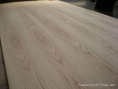 Cheap price high quality American red oak veneered plywood