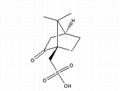 1R-(-)-Camphorsulfonic acid 1