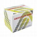 Amoxicillin Capsules