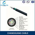 High quality Stranded loose tube armored direct buried fiber optic cable 5