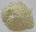 Paint Grade Bentonite