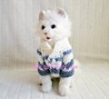 20-28CM crochet handicarft pet coat