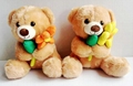20cm sitting teddy bear with flower for children