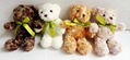 25CM classic and lovely teddy bear with green color bow for children