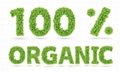 Certified Organic Green Raisin  NOP / EC889/2008 3