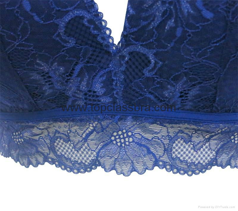 2015 Hot Sexy Lace Women Underwear  5