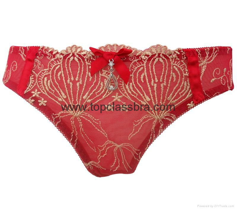 Sexy Embroidery and Transparent Underwear Set 