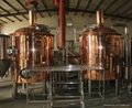 small red copper beer brewing equipment