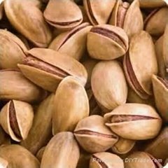 Pistachio Kernel & Nuts , Grade A pistachio nuts 