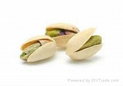 Pistachio Kernel & Nuts