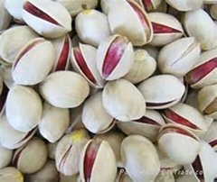 Pistachio Kernel & Nuts