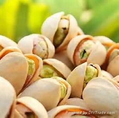 Pistachio Kernel & Nuts 