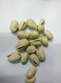 Pistachio Kernel & Nuts