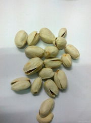 Pistachio Kernel & Nuts 