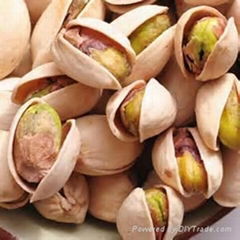 Pistachio Kernel & Nuts 