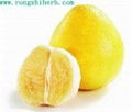 Natural Grapefruit Seed Extract Naringin