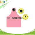 LF 125khz 134.2khz / HF 13.56mhz / UHF 860-960mhz Animal RFID Ear Tag for Cow Ca 1