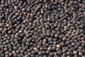 Black pepper Available for sale 3