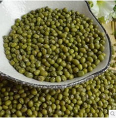 Green Mung Beans