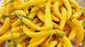 fresh yellow pepper 2