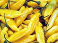 fresh yellow pepper 1