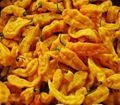 fresh yellow pepper 4