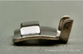 Stainless Steel Buckles 2