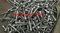 A182 F51 bolt nut, UNS S31803, 1.4462 duplex stainless steel bolt nut fastener 2