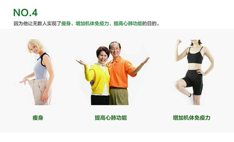金史密斯E200 家用橢圓機 3