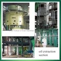 automatic screw oil press machine 200-300kg/h