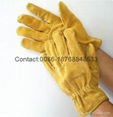10.5 inch cow split leather driver gloves