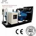 ISO9001 Diesel Generating Set 2