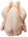 Quality Halal Whole Frozen Chicken 1