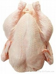 Quality Halal Whole Frozen Chicken