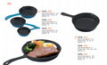 Cast Iron Fry Pan