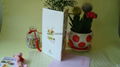 Factory direct supply Real flowers cards Blessing cards Holiday cards 4